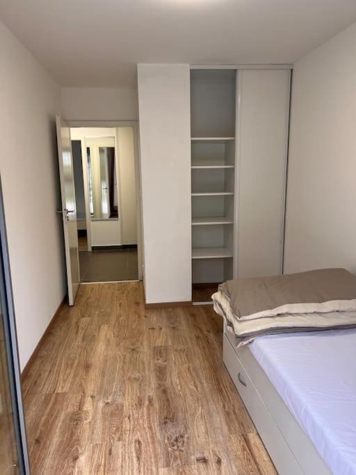 Appartement Red Jardin Tres Calme Saint-Louis (Haut-Rhin) Exterior photo